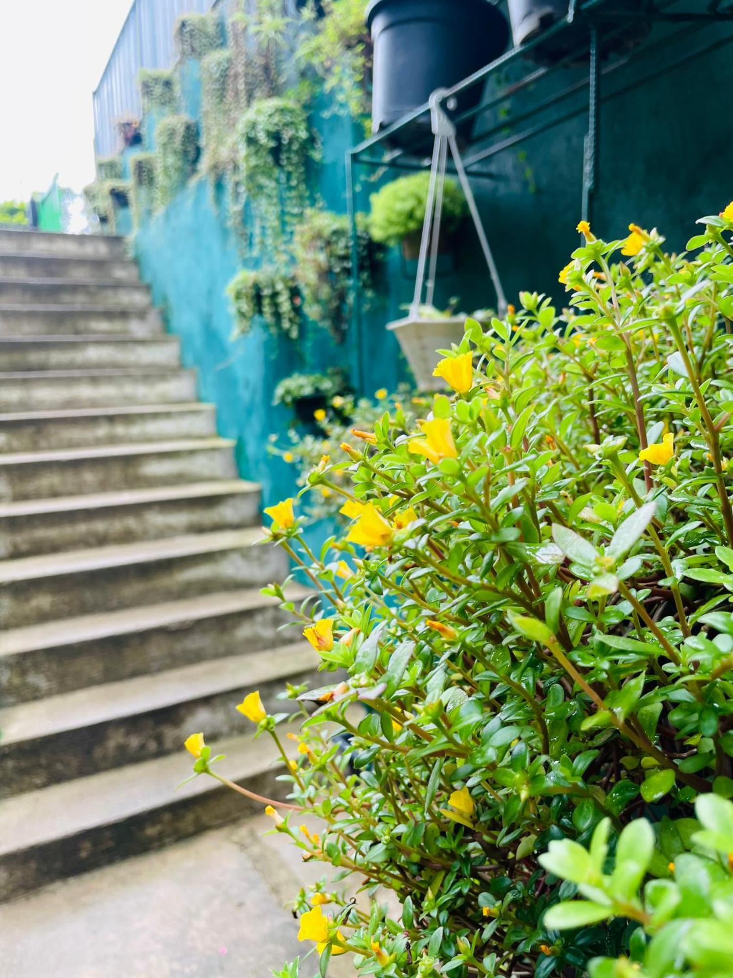 Little Paradise Homestay Ella Exterior photo
